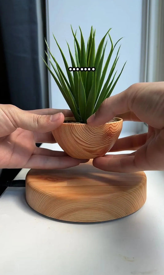 360° Smart Magical Rotating Flowerpot